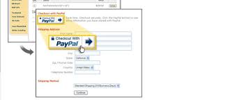 Ce inseamna un cont paypal? Cat De Simplu Se PlÄƒteÈ™te Cu Paypal Nwradu Blog