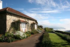 This luxuriant tea plantation is located within a 15 minute drive away from the. Tea Growing Under British Influence Discovering Tea
