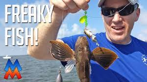 Robin Fish's Instagram, Twitter & Facebook