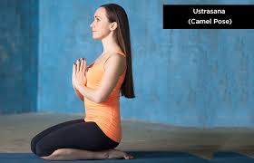 7 Yoga Poses That Can Protect Your Hair Hatha Yoga Poses Yoga Poses Vinyasa Yoga Poses