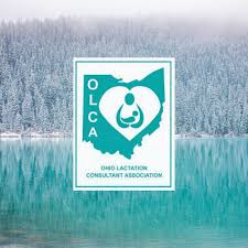 Which type of lactation consultant do i want to become? Ohio Lactation Consultant Association Home Facebook