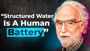 Groundbreaking Water Research That Could Change Our Health Paradigm (Gerald  Pollack)
