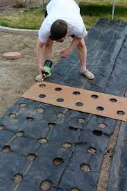 Pin On Gardening Diy Projects