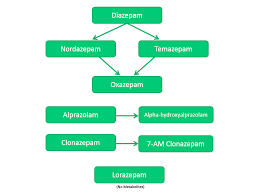 drug metabolism insourcedx com