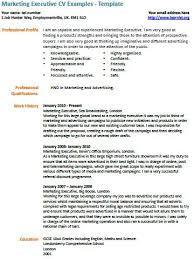 Top seller/ car salesman of the year in 2017; Marketing Executive Cv Example Learnist Org