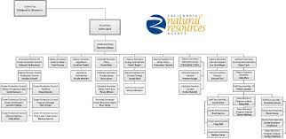 Creative Agency Organizational Chart Bedowntowndaytona Com