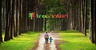 See more ideas about tree, beautiful tree, pictures. Tree Nation The Worldwide Platform To Plant Trees