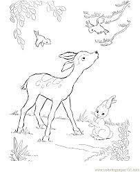 Feb 17, 2021 · cute unicorn coloring pages for kids: Cute Deer Coloring Page For Kids Free Deer Printable Coloring Pages Online For Kids Coloringpages101 Com Coloring Pages For Kids