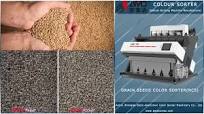 AMD Sortex(RC5) Wheat Color Sorter Machine Price for Grain Crop Seeds  Optical Sorting