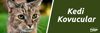 Kedi Kovucular Defansmarket De
