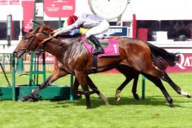 L'édition 2016 est marquée par le fait que la course se déroule à chantilly. Qatar Prix De L Arc De Triomphe 2016 Du Champagne Des Millions D Euros Distribues Et Une Grosse Audience En Tv Sportbuzzbusiness Fr
