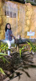 A nice relaxing mini golf course that is great for everyone. Congo River Golf Altamonte Springs 2021 All You Need To Know Before You Go With Photos Tripadvisor