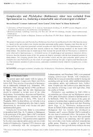 Image result for Phylohydrax