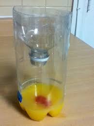 3 Genius Foolproof Fly Traps To Make At Home Homemade Fly Traps Diy Fly Trap Fruit Fly Trap