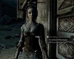 This Is My Wife In Skyrim I Saved Her From Vampires Just Awhile Ago She Can Now Return To Our Children And Make Me A Homecooked Me Skyrim Wonder Woman Save