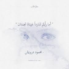 لست قطرة ماء في محيط جلال الدين الرومي عالم الأدب اقتباسات من الشعر العربي والأدب العالمي Calligraphy Quotes Love Sweet Love Quotes Words Quotes