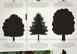 Heimische Baume Baumformen Und Baumsilhouette Von Ahorn Apfel Birke Buche Eiche Erle Fichte Kiefer Larche Linde Illustration Design Illustration Baum