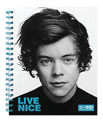 One Direction Limited Edition 1D OD Together Spiral Notebook Harry Nice Sky  Blue