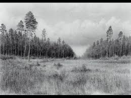 We did not find results for: Drawing A Landscape With A Pencil Realistic Drawing Technique Time Lapse Paintingtube