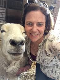 Professional Education