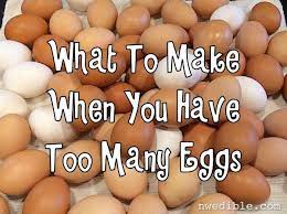 What To Make When You Have Too Many Eggs How To Cook Eggs Fresh Chicken Eggs
