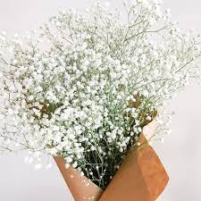 Bouquets, baskets, gifts, gourmet food What Do Baby S Breath Flowers Mean