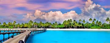 Check spelling or type a new query. Birds On Tropical Islands 1920x1200 Wallpaper Teahub Io