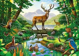 Forest Drawing Wallpapers Top Free Forest Drawing Backgrounds Wallpaperaccess
