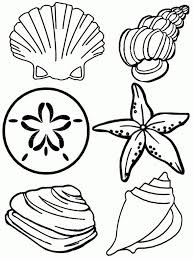 Grab these super cute, free printable beach coloring pages to strengthen hand muscles to get ready for writing while having fun decorating a summer theme picture. Under The Sea Coloring Pages Summer Coloring Pages Free Coloring Pages Beach Coloring Pages