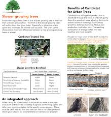 Tree And Shrub Growth Regulators Arbor Doctor Llc