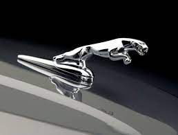 Pulse quickening, pure jaguar sports car. Generic Front Hood Leaper Ornament Logo Monogram Emblem Badge For Jaguar Bonnet Medium Amazon In Car Motorbike