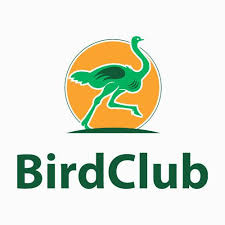 I M Offering A Discount In 2020 Unique Items Products Egg Designs Easter Egg Designs