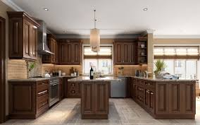 ambrose raised panel frameless kitchen