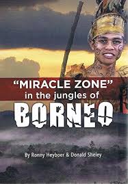 Miracle Zone In The Jungles Of Borneo: RONNY HEYBOER: 9789078674061:  Amazon.com: Books