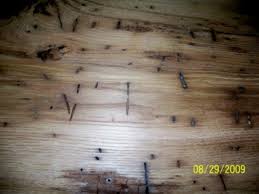 The principal uses of reclaimed wood include in furniture, flooring, cabinet lumber, and side paneling. Wormy Chestnut Wood Origins Features And Uses In Furniture Dengarden