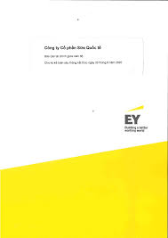 Công ty Cổ phần Sữa Quốc tế - Báo cáo tài chính giữa niên độ