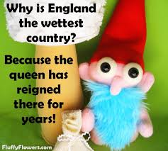 Pin On Funny