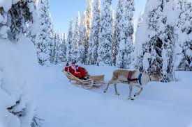 Tui Cancels All Lapland Breaks Because They Can T Keep Magic Alive Liverpool Echo
