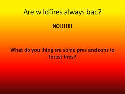 The pros are the destruction of habitats and killing of cute animals the the cons are that they smell bad. Aim What Are The Effects Of A Forest Fire Dn Write Down What You Know About Forest Fires For Example You Could Write Down How They Start The Damage Ppt Download