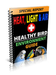 Avian Full Spectrum Lighting For Birds Parrot Lights And Bird Uv Lights