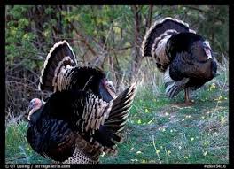 Great smoky mountains national park is open 24 hours a day, 365 days a year.however some secondary roads, campgrounds, and other visitor facilities close in winter. Thanksgiving In The National Parks You Don T Have To Look Far For A Feast National Parks Traveler
