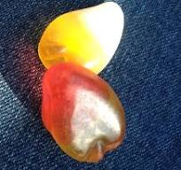 What's Good at Trader Joe's?: Trader Joe's ¡Mango! ¡Mango!