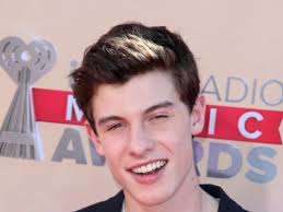 Shawn Mendes : "J'espère pouvoir être toujours sur scène dans dix ans"