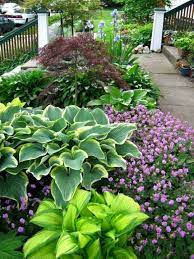 Pin On Landscaping