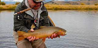 Fly Fishing In Jackson Hole Jackson Hole Fly Fishing Guides Our Knowledgeable Jackson Hole Fishing Fly Fishing Fishing Trip Fishing Guide