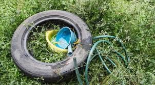 Even a small area where water remains for seven to 10 days can support mosquito larvae. How To Get Rid Of Mosquito Larvae In Pools Expert Guide Mosquitofixes
