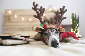 Grandparents presenting christmas gifts to kids. What To Do If You Re Alone On Christmas