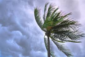 Menurut jabatan meteorologi malaysia (met malaysia), dalam tempoh tersebut, empat hingga enam episod hujan lebat dijangka berlaku. Musim Tengkujuh Sudah Bermula