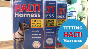 Petstop Sizing And Fitting Halti Harness
