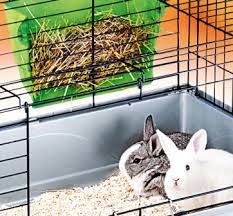 Kaninchenstall innen | die besten kaninchenställe innen. Kaninchenstall Hasenstall Kaninchengehege Nagerkafig Bei Hornbach